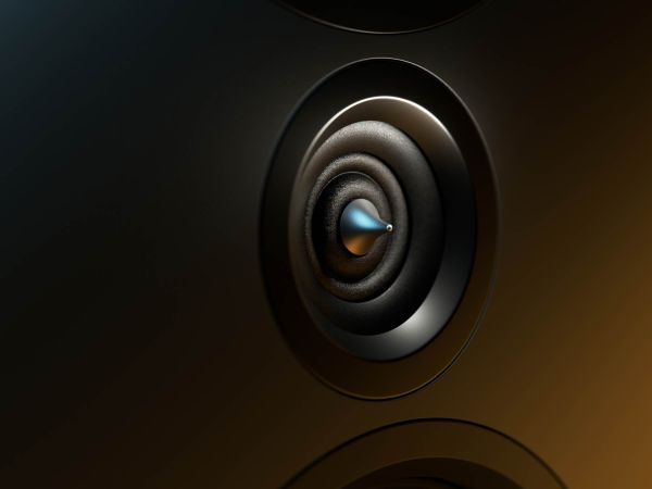 High End Hochton Ringradiator der INKLANG Ceterra 70R Black Edition